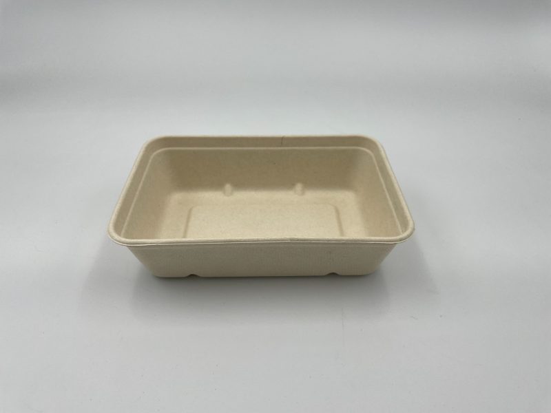 500ml Bagasse Tray